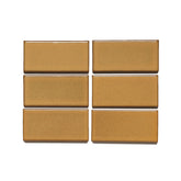 G142 Sample in Mustard Seed