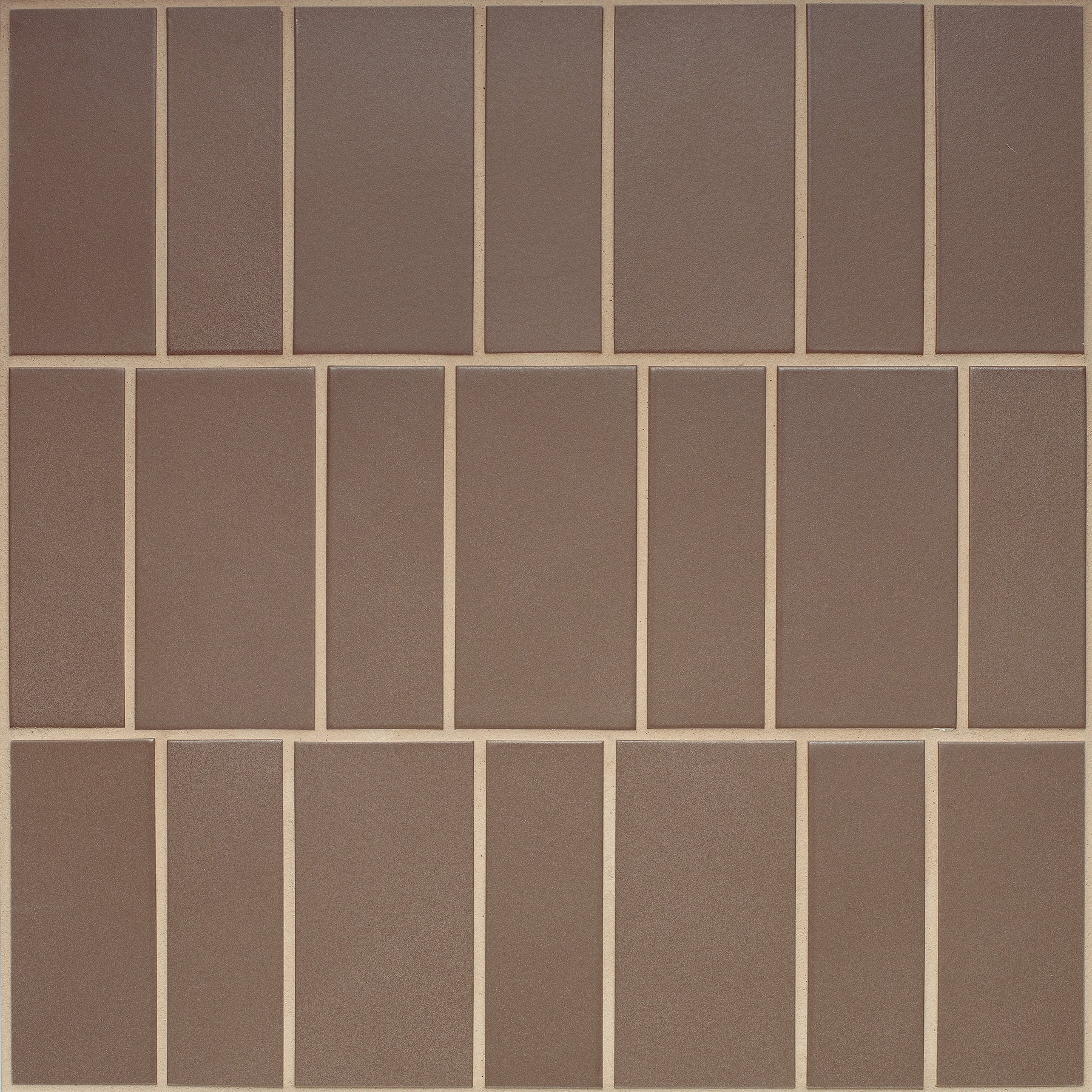 M166 Sample in Fossil