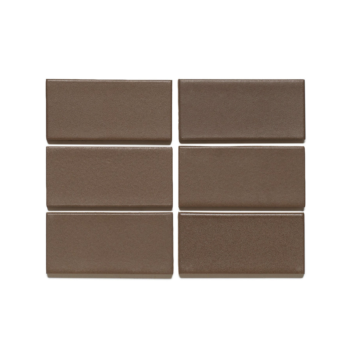 M166 Sample in Fossil