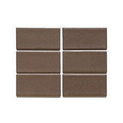 M166 Sample in Fossil